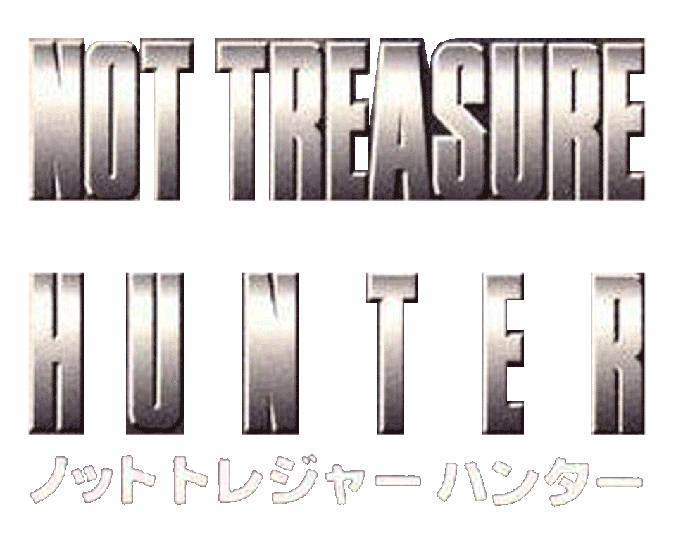 Not Treasure Hunter logo for Playstation